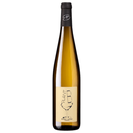 Muscadet AOP - "Plan B" BIO