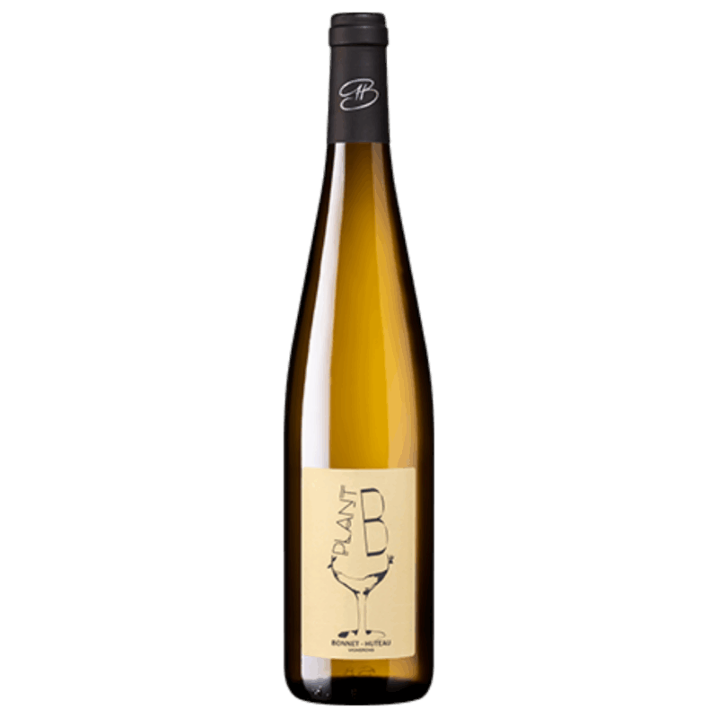 Muscadet AOP - "Plan B" BIO